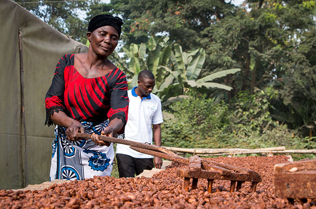 Barry Callebaut empowers cocoa growers in Tanzania  