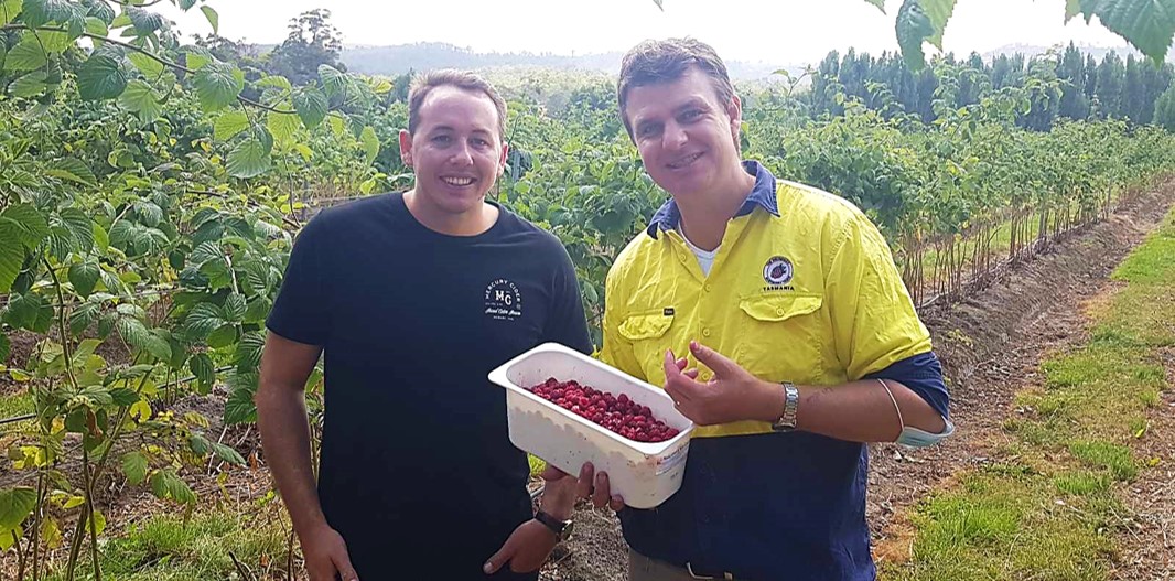 Asahi Beverages buying locally grown raspberries to support Tasmanian farmers