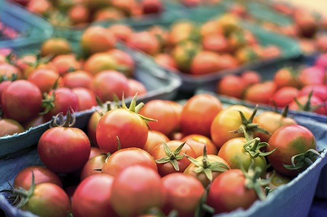 Russia approves duty-free import of tomatoes