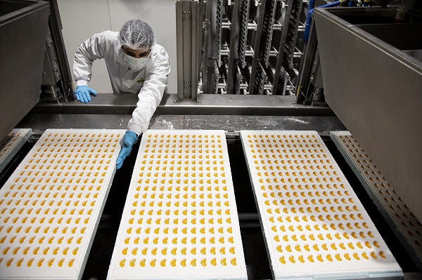 TopGum Industries secures investment from AP Partners Fund