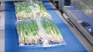 StePac introduces innovative ice less packaging
