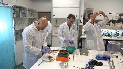 Israel based yegoma’s new microalgae adding juiciness to plant base burgers