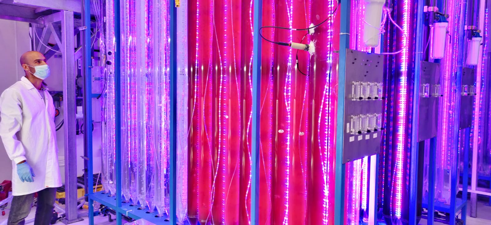 Start-up Yemoja’s high-precision cultivation delivers customized microalgae